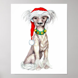 Poster Père Noël chinois arrêté