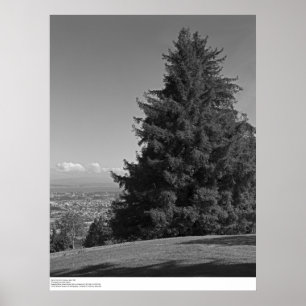 Poster Père Noël Cruz du campus, avril 1967