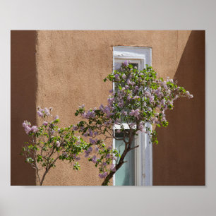 Poster Père Noël Fe, Nouveau-Mexique, Lilacs