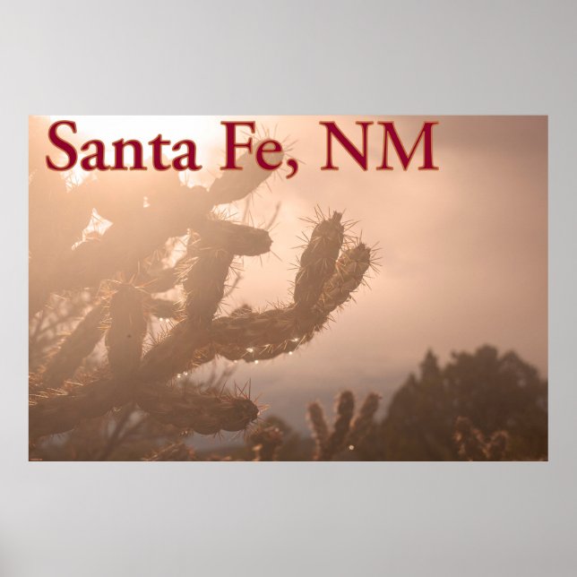 Poster Père Noël Fe Serenity : Cholla Cactus au coucher d (Devant)