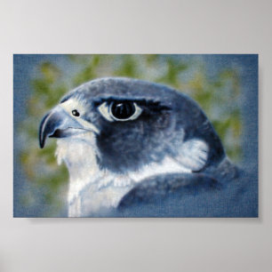 Poster Peregrine-aérographe