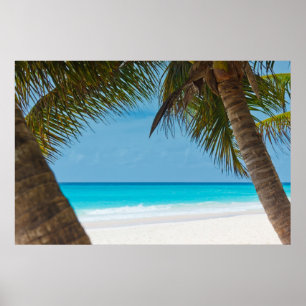 Poster Perfect Tropical Paradise Beach