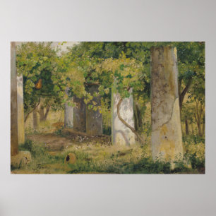 Poster Pergola With Wine Grapes (Vineyard Landscape)