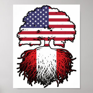Poster Pérou Amérique péruvienne Etats-Unis drapeau des r