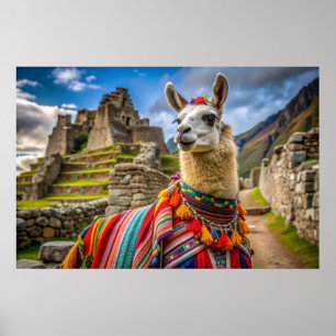 Poster Pérou Llama