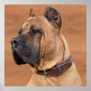Poster Perro de Presa Canario - Dogo Canario