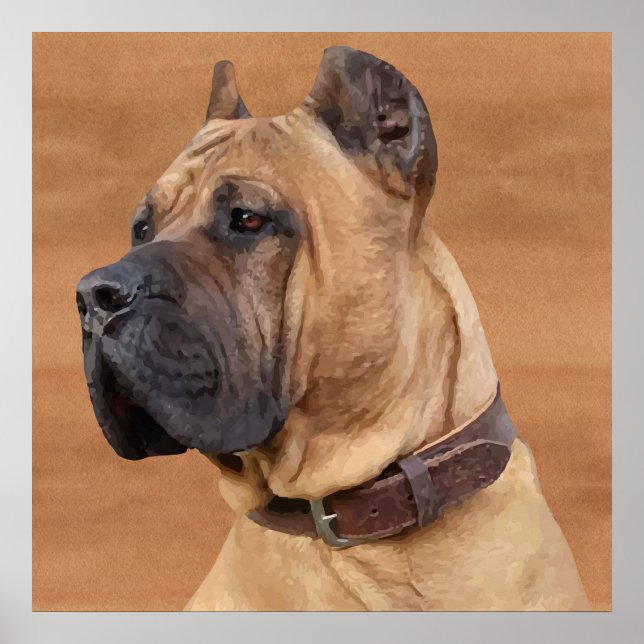 Poster Perro de Presa Canario - Dogo Canario (Devant)
