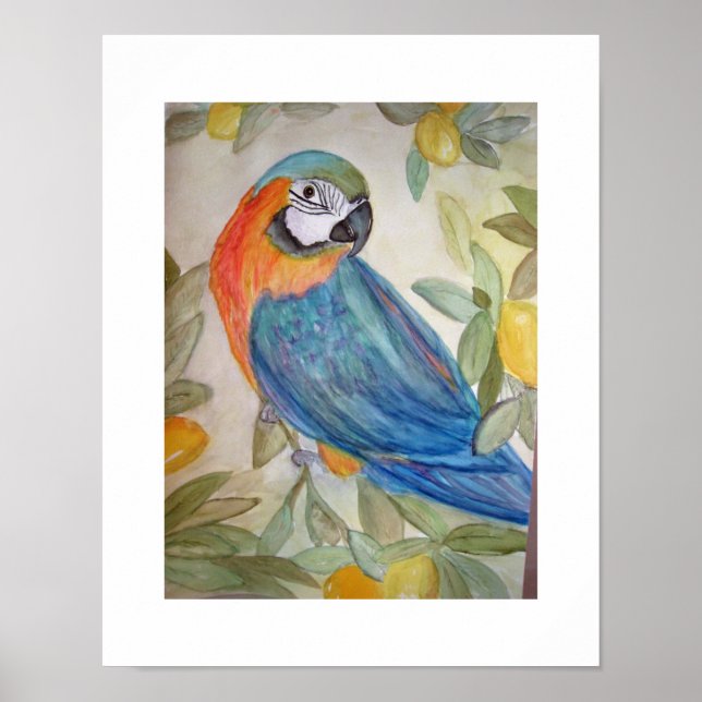 Poster Perroquet et citrons (Devant)