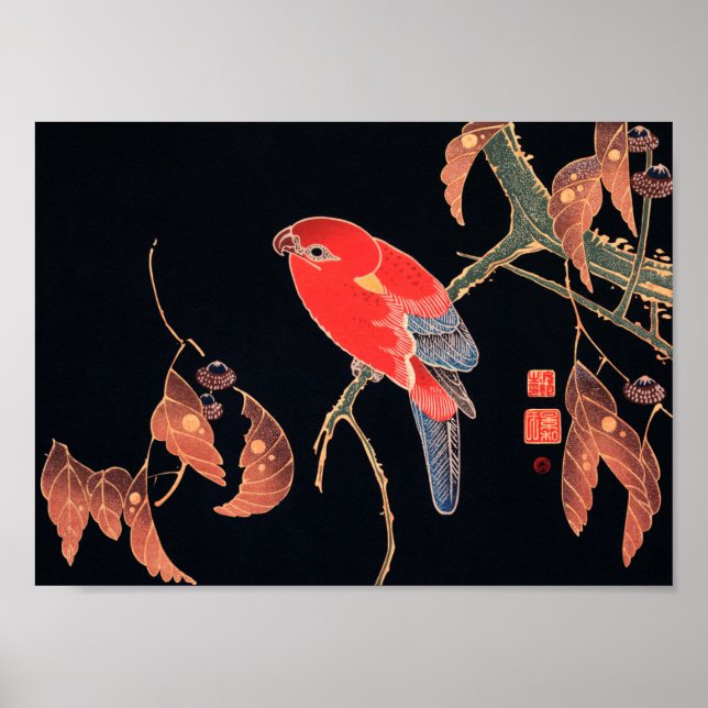 Poster Perroquet rouge sur la branche d'un arbre par Ito  (Devant)