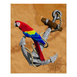 Poster Perroquet Tropical Et Ancre