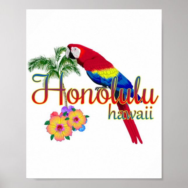 Poster Perroquet tropical Honolulu Hawaii (Devant)