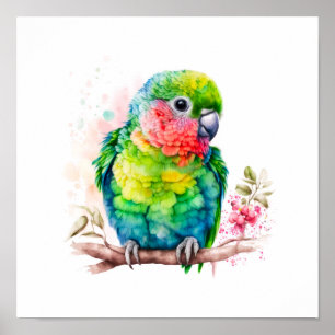 Poster Perroquet vert - Bébé mignon oiseau