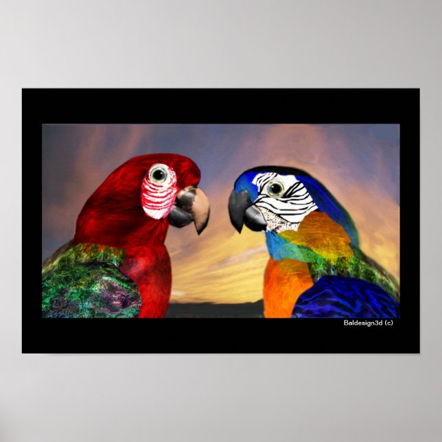 POSTER PERROQUETS HYPER / ARA ROUGE ET BLEU (Devant)