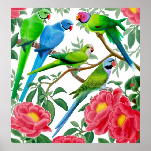 Poster Perruches et pivoines Imprimer (Devant)