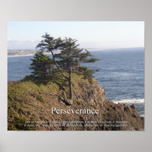Poster Persévérance