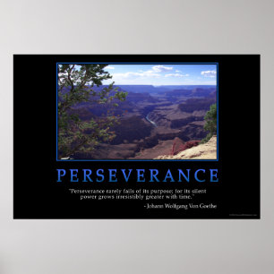 Poster Persévérance