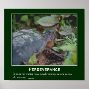 Poster Persévérance Confucius Citation Tortue Inspiration