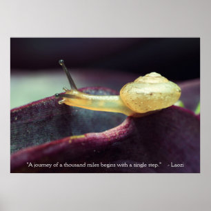 Poster Persistance de motivation de persévérance de