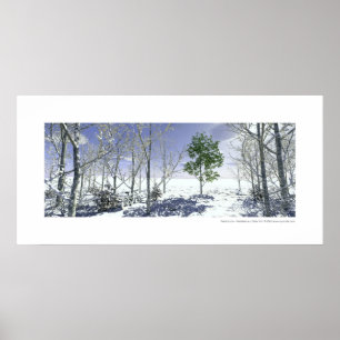 Poster Persistance - Persistance