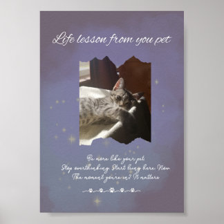 Poster Personalized Dreamy Life Lessons from your Pet 