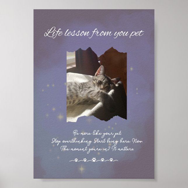 Poster Personalized Dreamy Life Lessons from your Pet  (Devant)