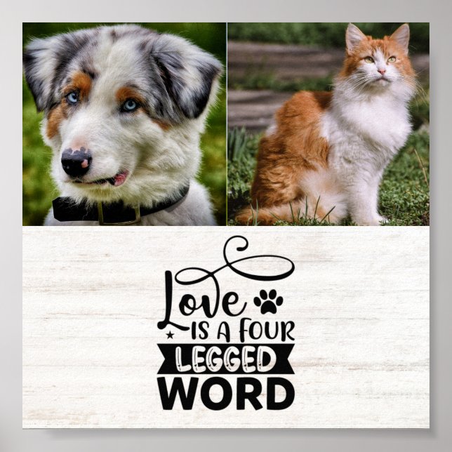 Poster personnalisé de deux animaux de compagnie (Devant)
