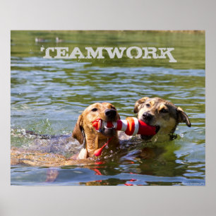 Poster personnalisé de travail d'équipe de chien