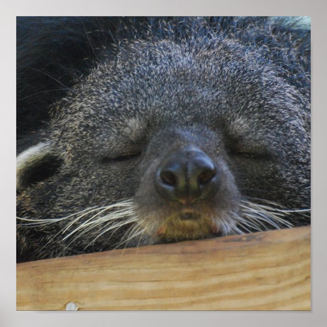 Poster Personnaliser (Devant)
