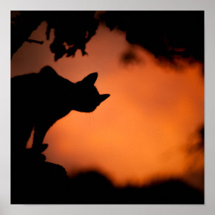 Poster Personnaliser Arrière - plan Halloween Black Cat O