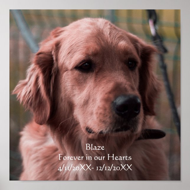 Poster Personnaliser Photo Pet Memorial Keepsaké (Devant)