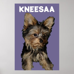 Poster Personnalisez-Le ! LAVENDER Animaux de compagnie P