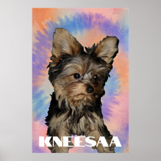 Poster Personnalisez-le ! Photo et nom d'animal à la tein