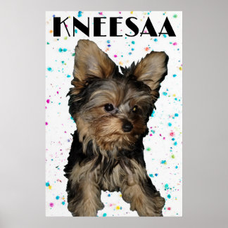 Poster Personnalisez-Le ! Photos et nom de l'animal de co