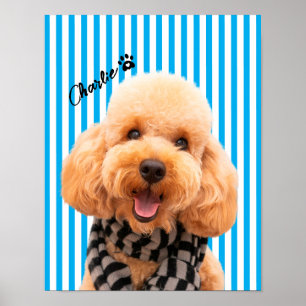Poster Personnalisez Votre Propre Animal De Compagnie Chi