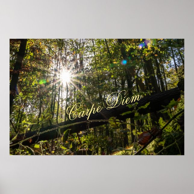 Poster Personnelle Carpe Diem brillante forêt feuille col (Devant)