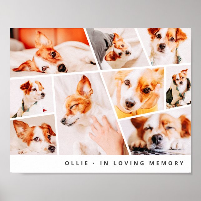 Poster Pet Memorial Modern Simple Chic 9 Photos Collage (Devant)