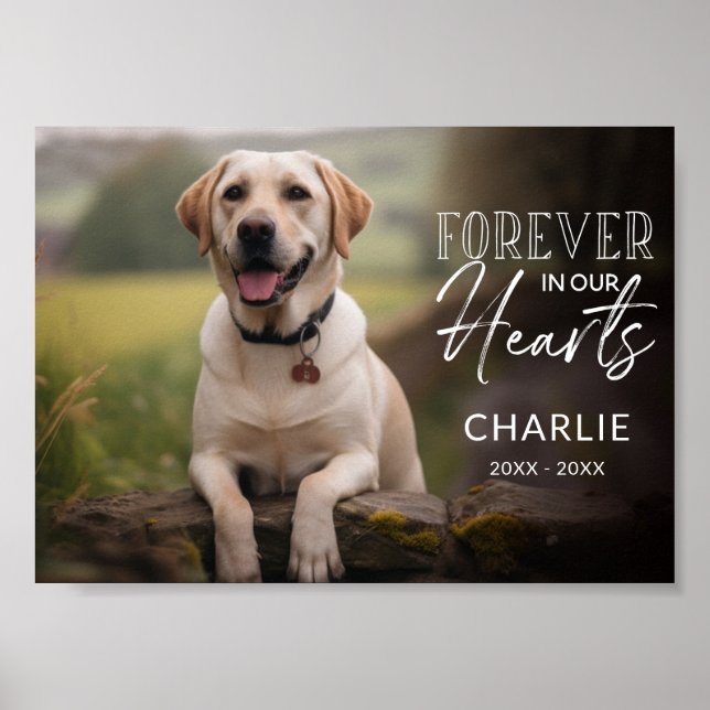 Poster Pet Photo Custom Memorial (Devant)