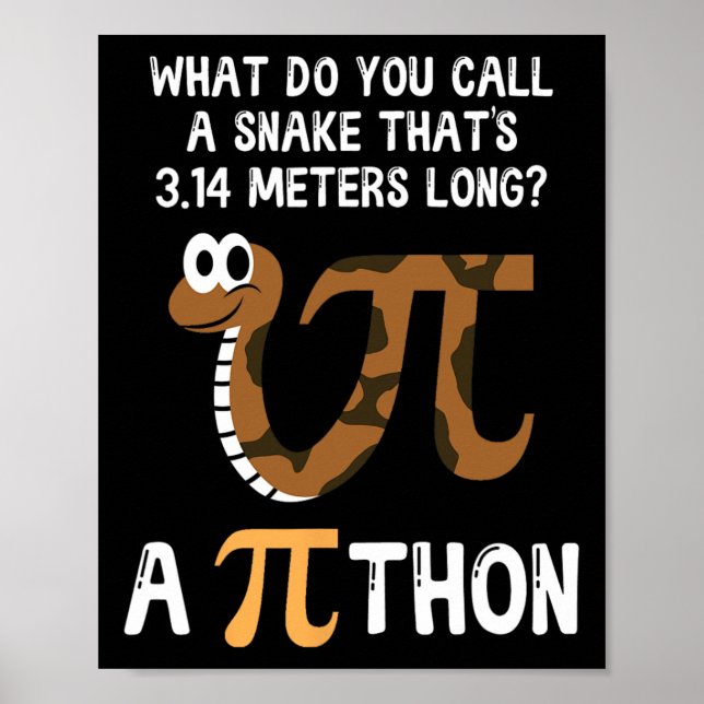 Poster Pet Snake Math Pi Day Python (Devant)