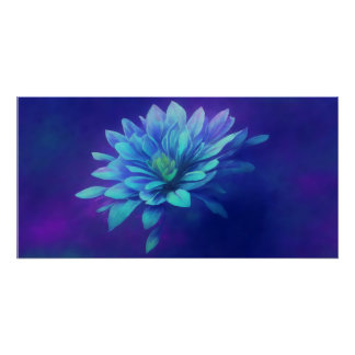 Poster Pétales bleus dans une fosse violette de rêve