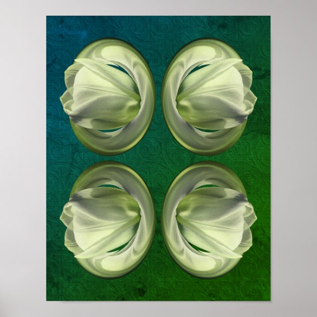 Poster Pétales de fleurs de tulipes blanches Abstraites (Devant)