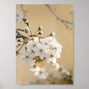 Poster Pétales de Promise Printemps Embrasser les fleurs