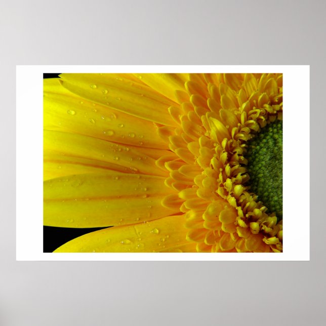 Poster Pétales Jaunes (Devant)