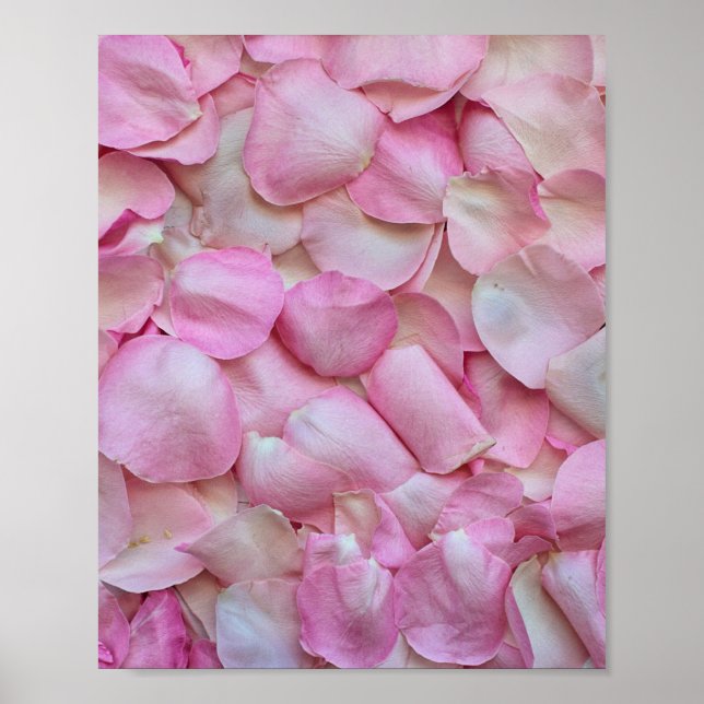 Poster Pétales roses (Devant)