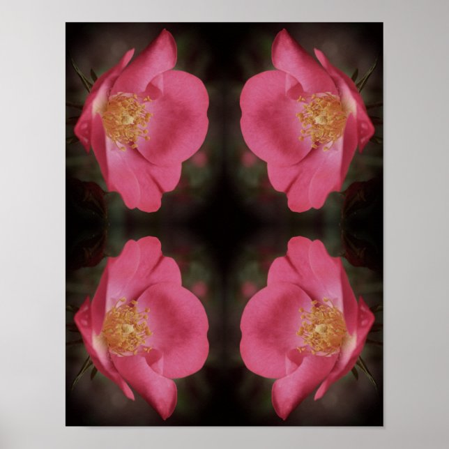 Poster Pétales roses Abstraits Vintages (Devant)