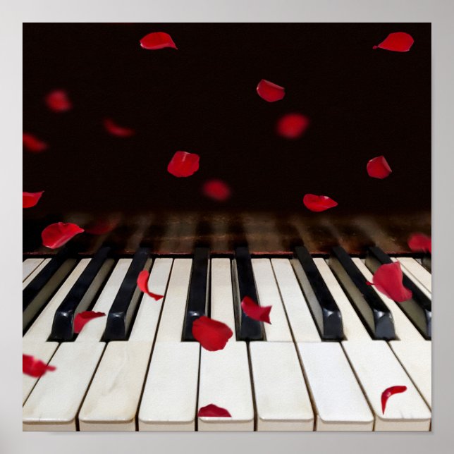 Poster Pétales roses sur clés de piano (Devant)