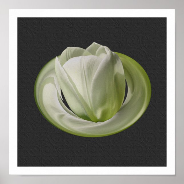 Poster Pétales Tulipes Blanches Art Floral (Devant)