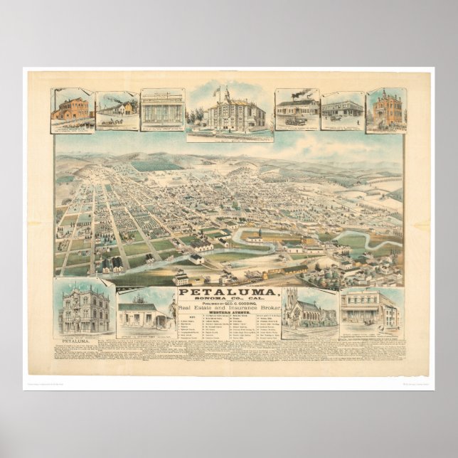 Poster Petaluma, CA. (1314A) (Devant)