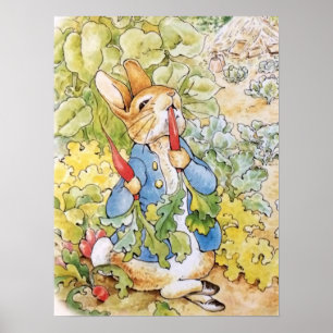 Poster Peter le lapin mange une carotte