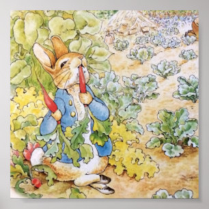 Poster Peter le lapin mange une carotte