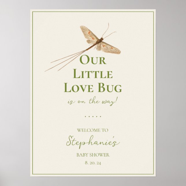 Poster Petit Amour Bug Baby shower Bienvenue (Devant)
